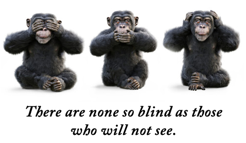 blind to truth-480X280