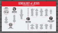 genealogy of christ-480x280