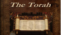 torah-480x280